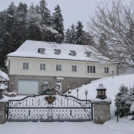 Schwarwald Apartment Schluchsee Eksteriør bilde