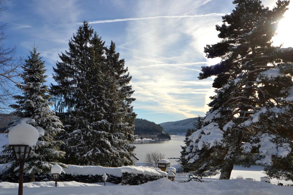Schwarwald Apartment Schluchsee Eksteriør bilde
